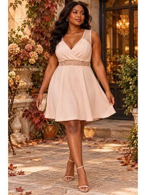 NWT BCBGeneration Pink Lace Fit Flare Dress Size 12 2010s Romantic